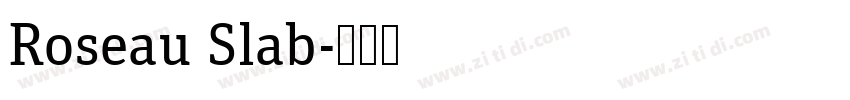 Roseau Slab字体转换